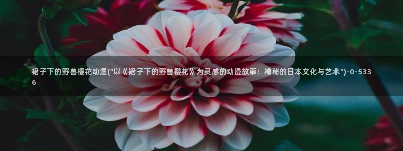 樱花动漫官方版正版入口