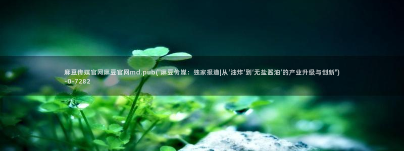麻豆视频热门视频：麻豆传媒官网麻豆官网md.pub(\