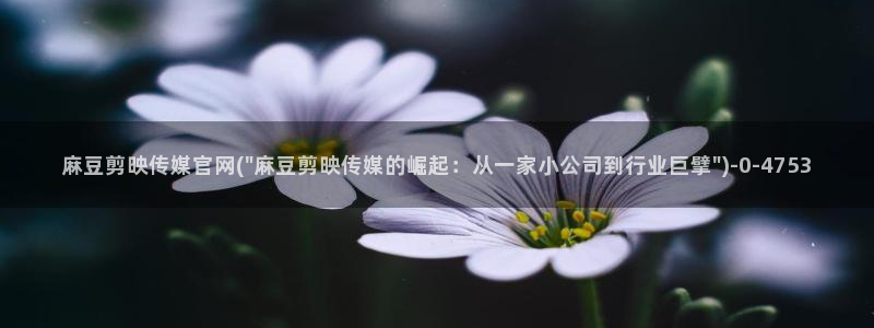 麻豆下载专区：麻豆剪映传媒官网(\