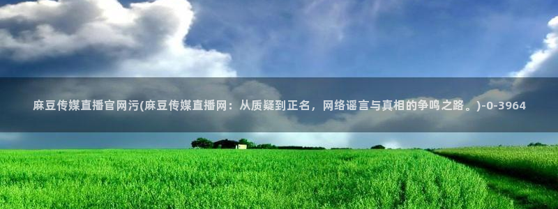 麻豆视频更新完整版：麻豆传媒直播官网污(麻豆传媒