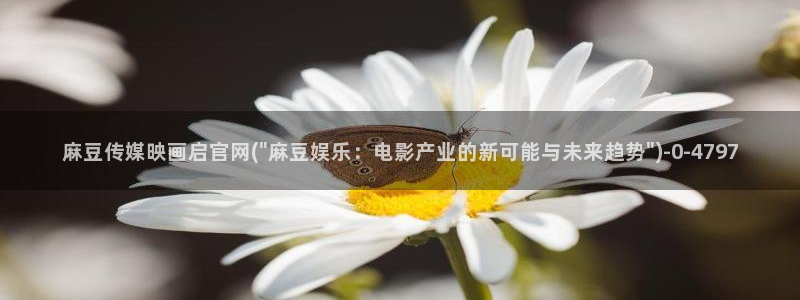 麻豆 完整版下载：麻豆传媒映画启官网(\