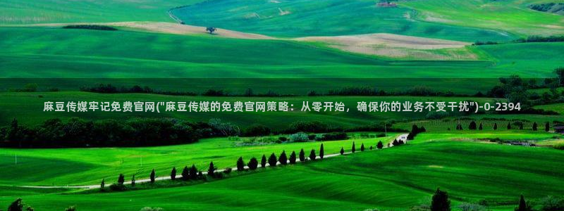 麻豆视频短片最新：麻豆传媒牢记免费官网(\