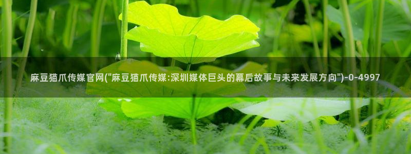 麻豆视频高清视频：麻豆猫爪传媒官网(\