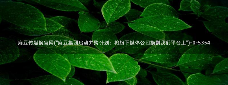 麻豆 下载合集：麻豆传媒换官网(\