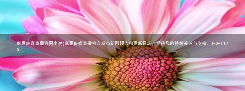 麻豆视频专区推荐：麻豆传媒直播官网小说(麻豆传媒