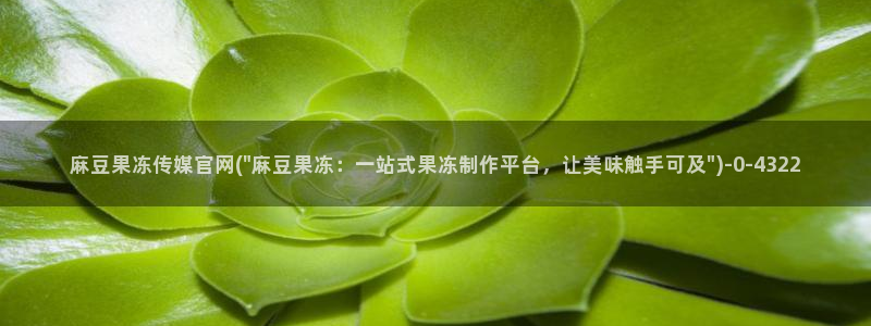 麻豆视频 在线看：麻豆果冻传媒官网(\