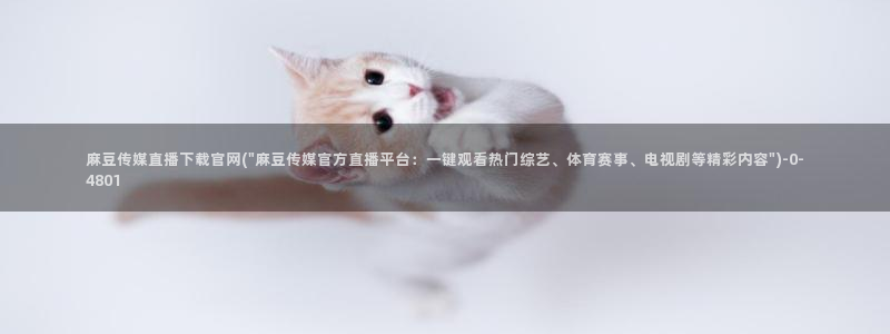 麻豆视频 入口资源：麻豆传媒直播下载官网(\