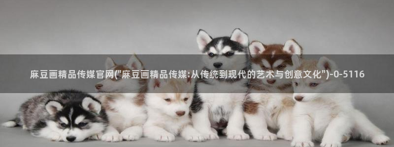 麻豆视频 入口最新：麻豆画精品传媒官网(\