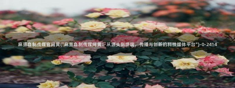 麻豆视频图集资源：麻豆自制传媒官网黄(\