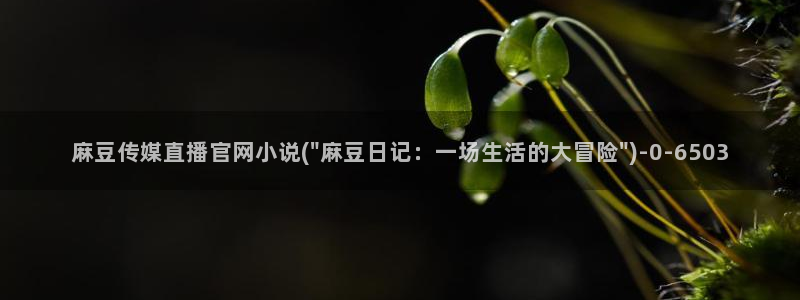 麻豆视频系列资源
