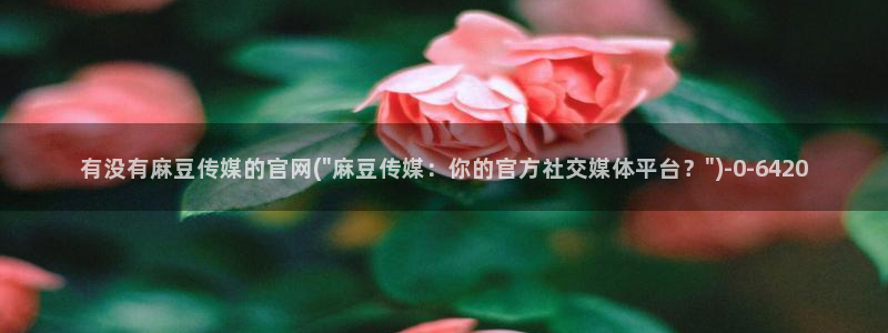 麻豆视频内容入口