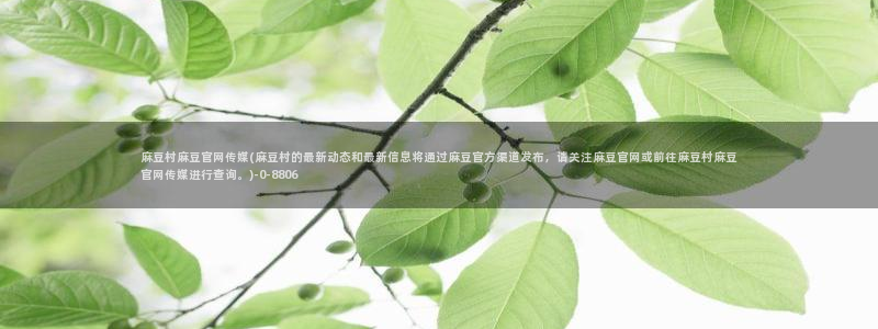 麻豆视频系列资源