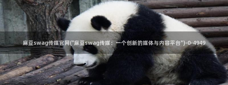 麻豆视频推荐导航：麻豆swag传媒官网(\