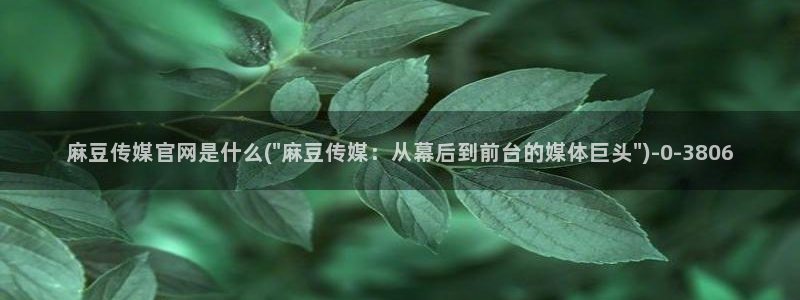 麻豆视频 官方资源：麻豆传媒官网是什么(\