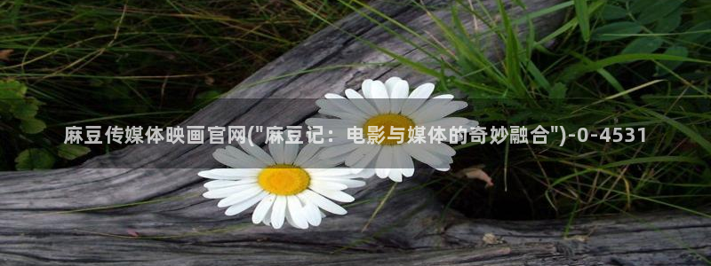 麻豆 资源视频