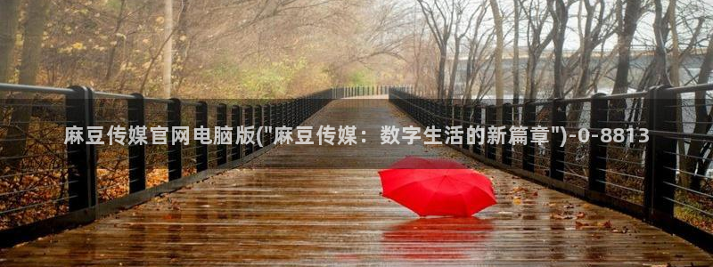 麻豆视频 资源视频：麻豆传媒官网电脑版(\