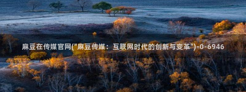 麻豆视频系列资源
