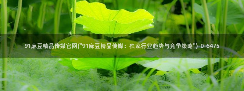 麻豆视频 更新入口：91麻豆精品传媒官网(\