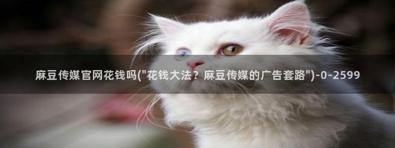 麻豆视频入口导航：麻豆传媒官网花钱吗(\