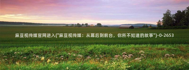 麻豆最新推荐：麻豆视传媒官网进入(\