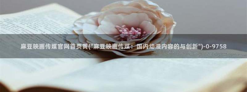 麻豆视频短片整理