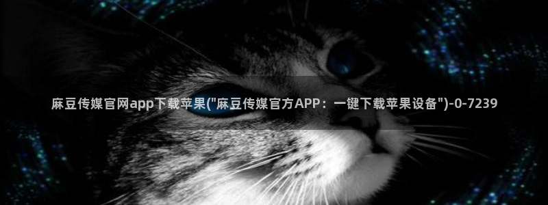 麻豆 合集专区：麻豆传媒官网app下载苹果(\