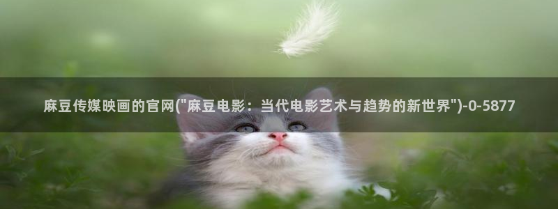 麻豆视频 更新推荐：麻豆传媒映画的官网(\