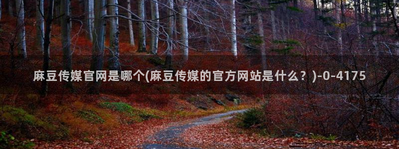 麻豆视频 专区资源：麻豆传媒官网是哪个(麻豆传媒