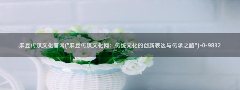 麻豆视频 合集导航：麻豆传媒文化官网(\