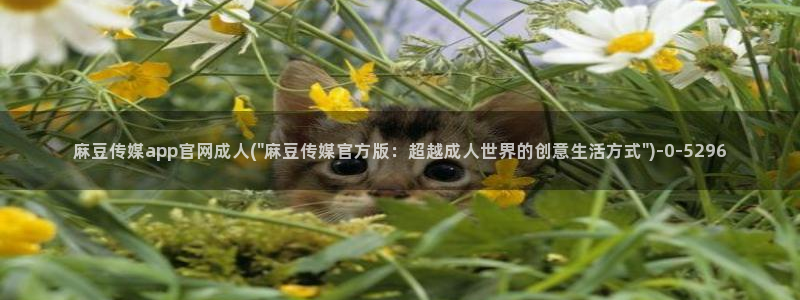 麻豆视频短片下载：麻豆传媒app官网成人(\