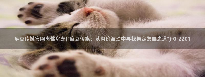 麻豆视频 资源：麻豆传媒官网肉偿房东(\