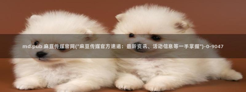 麻豆视频 高清最新